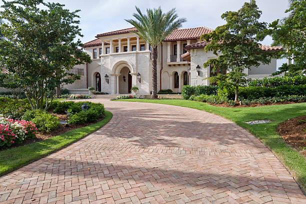 Best Best Driveway Pavers  in Spring Creek, NV